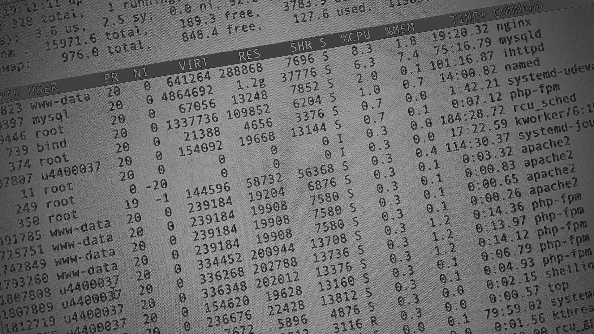 Настройка сервера в Санкт-Петербурге