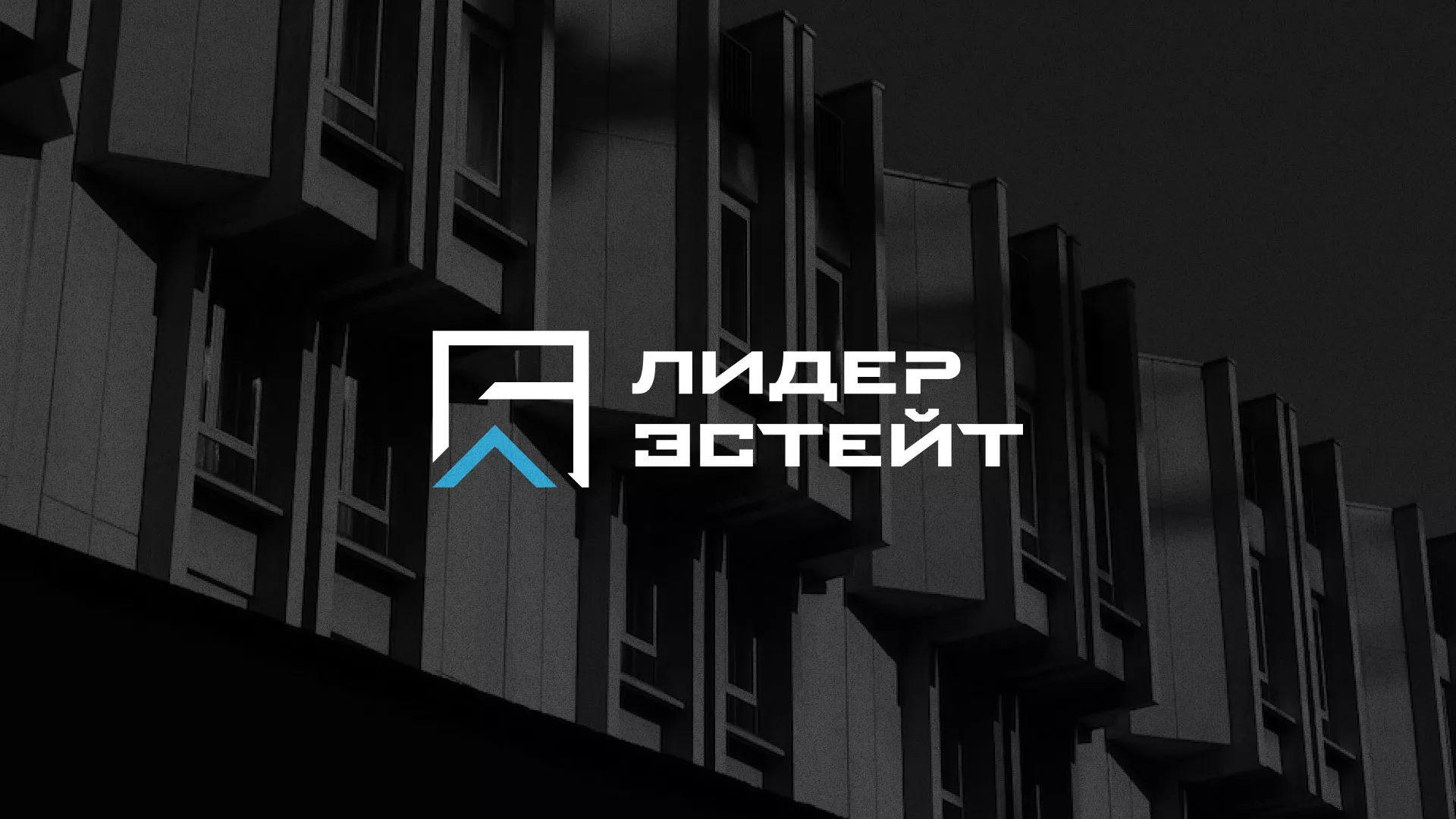 Разработка логотипа агентства недвижимости «Лидер Эстейт» в Санкт-Петербурге