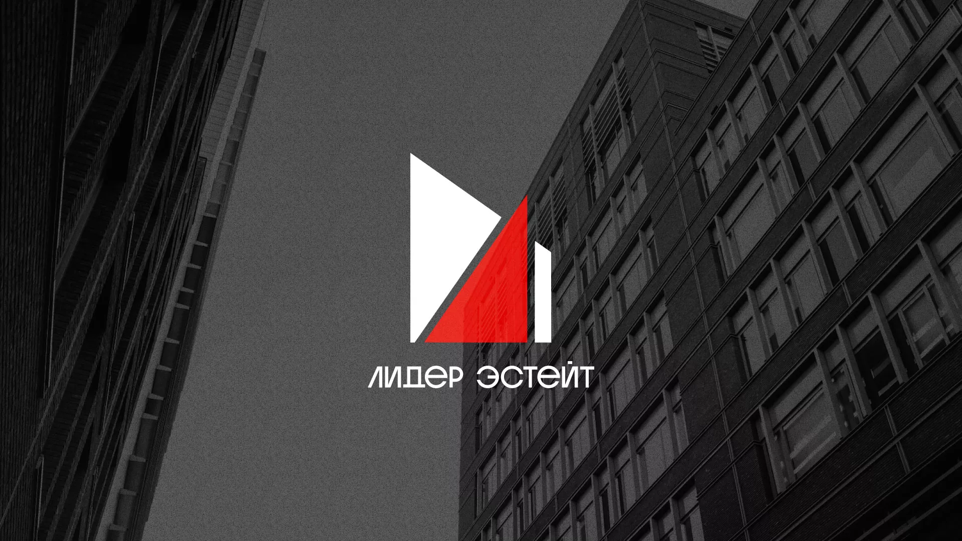 Сделали логотип для агентства недвижимости «Лидер Эстейт» в Санкт-Петербурге